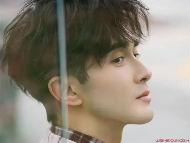 高伟光结婚了吗高伟光的老婆杨吟吟真的假的