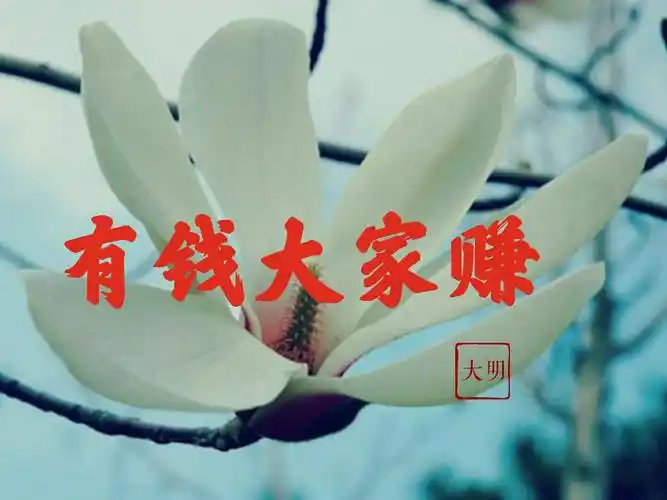 其它 有钱大家赚 写美篇       父亲说看到我很忙,不忍心打扰,我说忙