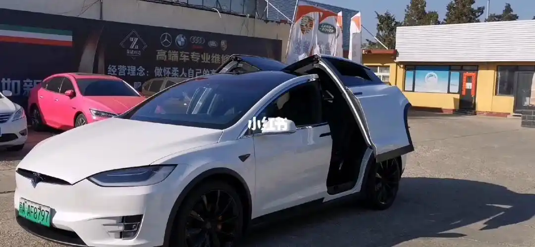 最有格调的开门姿势特斯拉modelx