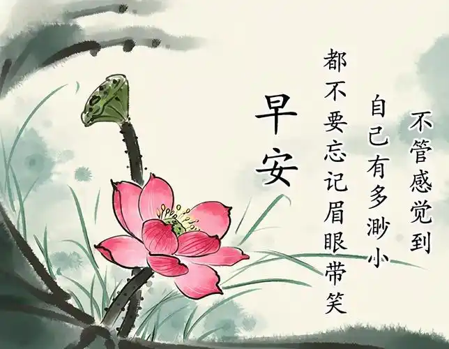 早安图片鲜花(鲜花图片大全)
