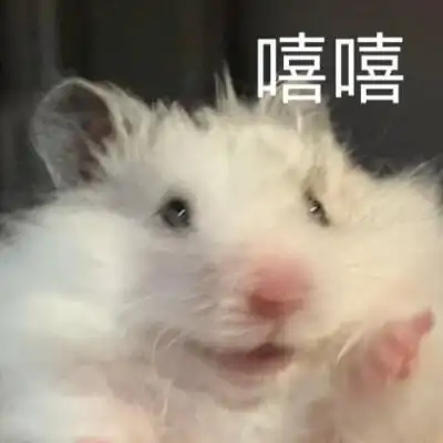 激活仓鼠表情包