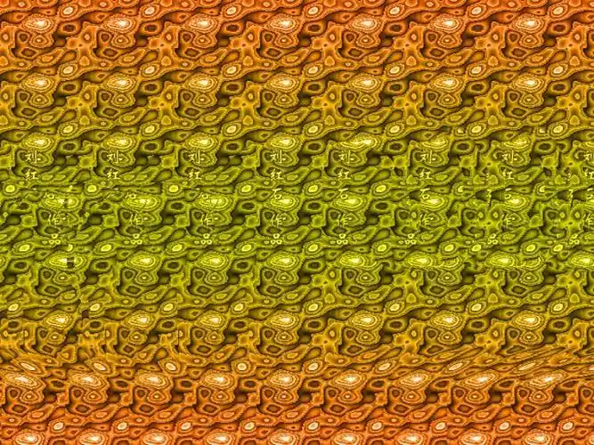 隐身于三维图中的动物们(神奇三维立体图1)