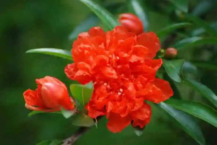 苏轼冠绝古今的一首贺新郎千年来争议不休写了什么