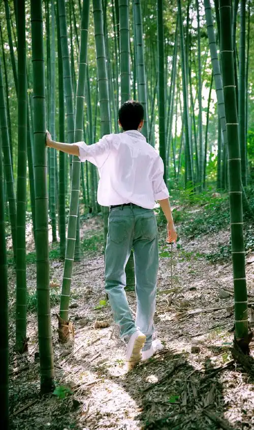 肖战说特别喜欢竹子##肖战##肖战正能量艺人