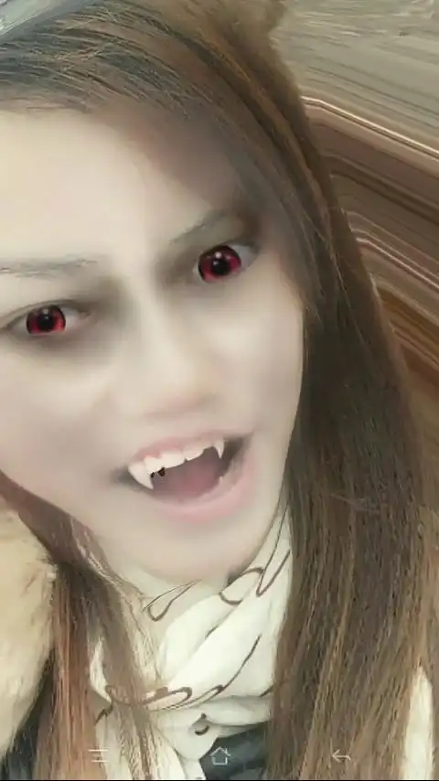 今天见到有人用一张图片就做了一个鬼视频,求有谁知道这软件是什么?