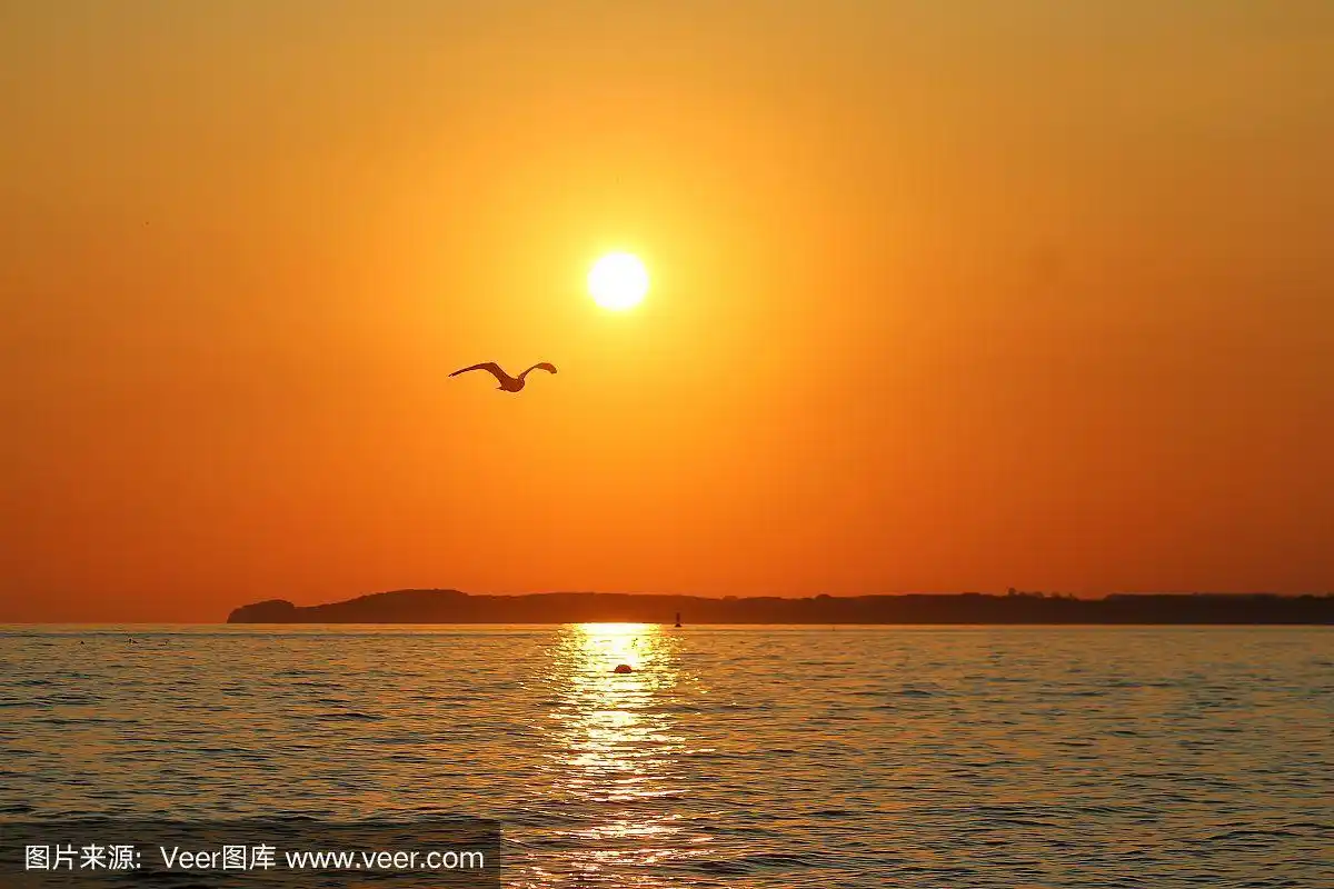 美丽浪漫的日出在德国北部与太阳和飞翔的海鸥
