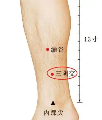 小腿,一身阴毒的大本营!