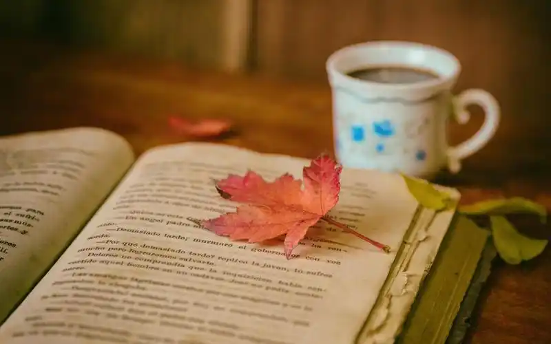 湖北专升本学校有哪些