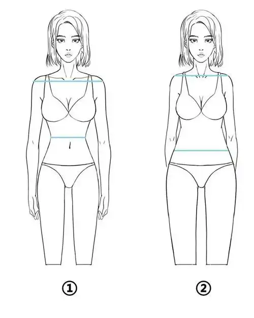人体黄金比例公式,黄金比例公式算法(科学家用实验数据得出以下结论)