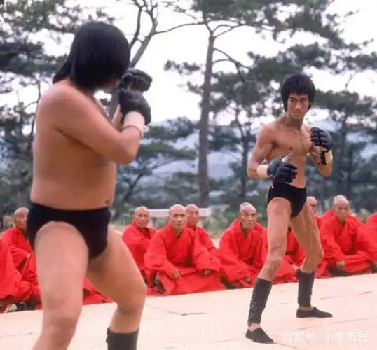 李小龙的功夫到底怎么样,和他"交过脚"的洪金宝说出了实情
