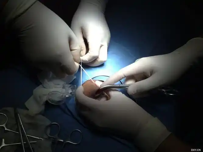 肾脏泌尿2011-10-12 15:28 投票 收藏 打赏 引用 分享 举报 广告宣传