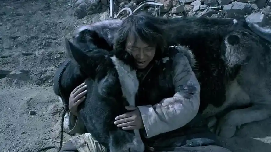 70个亿,黄渤你凭什么!