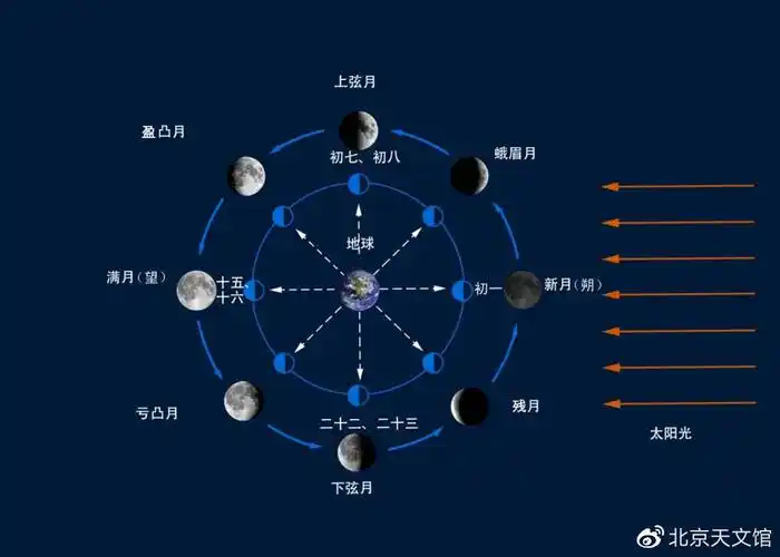 天文小姐姐月相变化