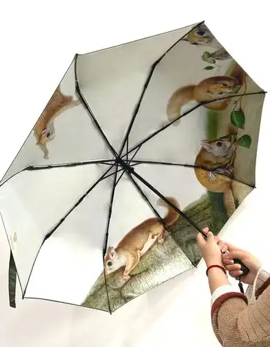 就有很多小伙伴给我们留言说,敲想看看"好奇松鼠"晴雨伞长什么样,那么