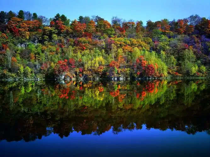 整个度假区尽收眼底,远处即可看到长白山和五彩斑斓的原始森林,无论是