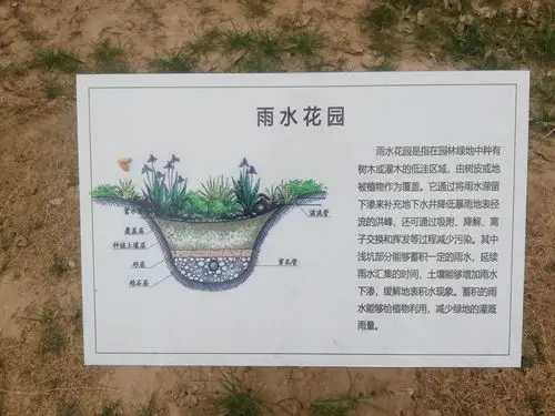 庚子年,贰零贰零出行巜雨水花园》游记