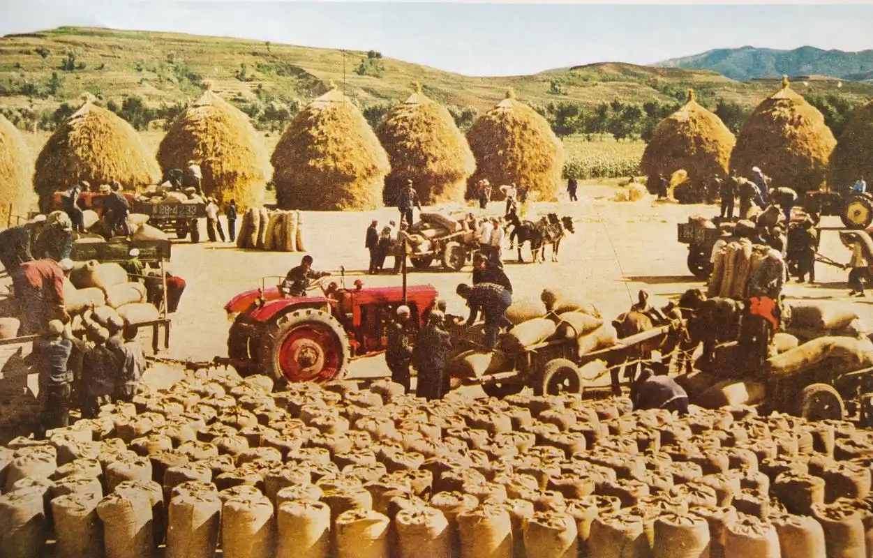 70年代记忆(19)——怀旧图片欣赏