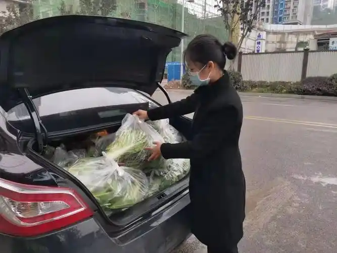 与业主共同战疫龙湖小区送菜到家