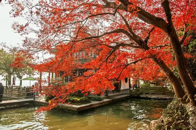 平湖秋月是西湖十景之一,亭台楼阁依湖而建,是赏月的好去处.