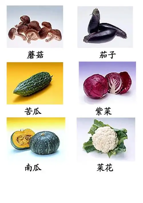 蔬菜类图片及名称