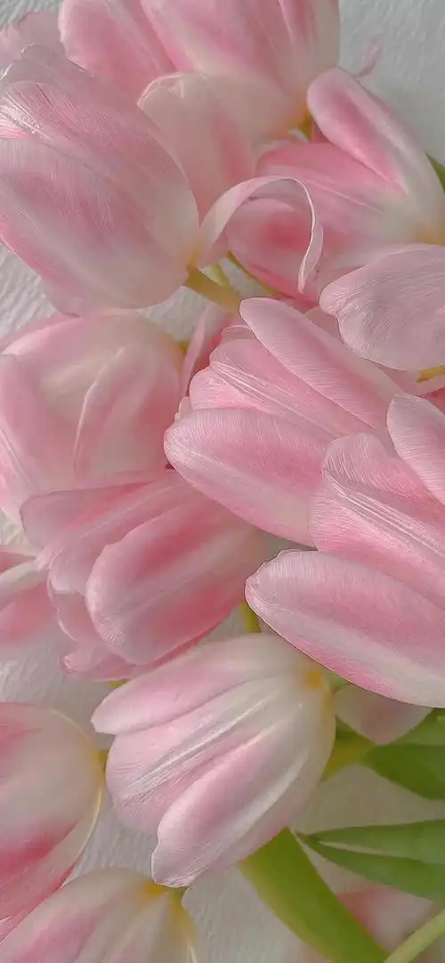 高清壁纸 | 小众壁纸 | 素质拿图