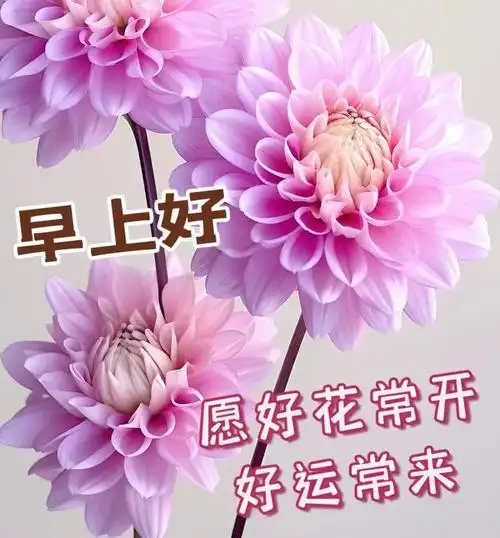 2023年10月4日早安动态表情图片大全早安祝福语温馨问候