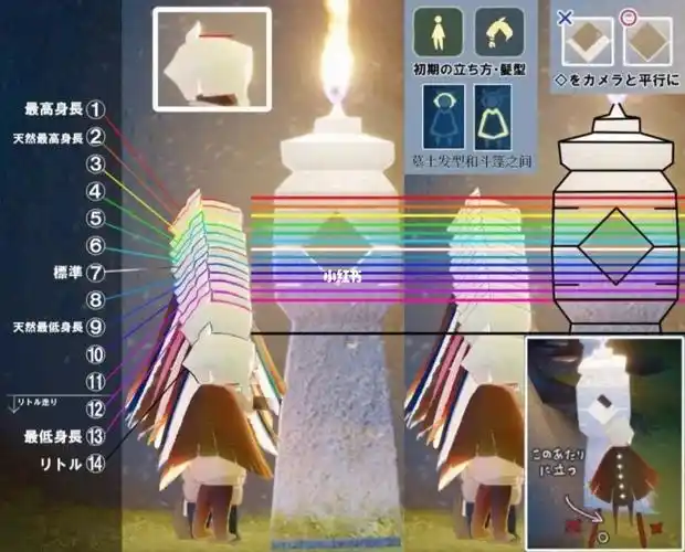 分享一下光遇身高图