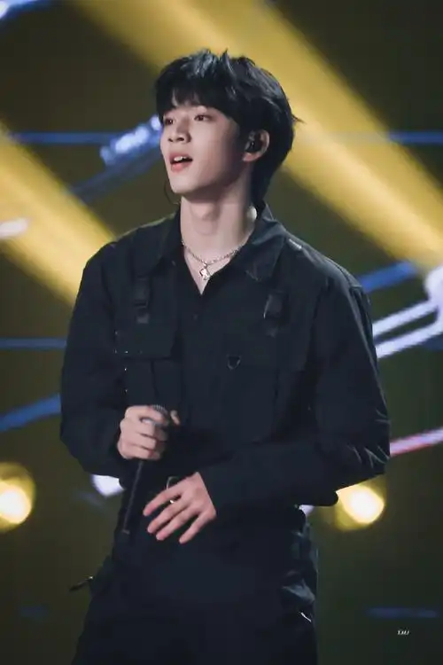 刘耀文马舞台舞蹈solo