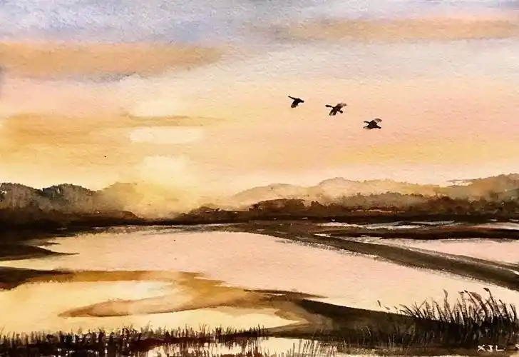 徐静蕾的绘画传奇