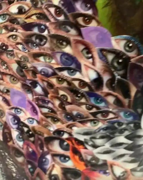 点开视频一看,映入眼帘的是一个个密集的眼睛,对于密集恐惧症的人来说