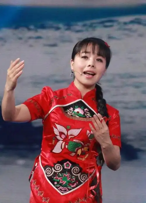 王二妮《星光大道》一炮而红,真实身份曝光,与草根天壤之别