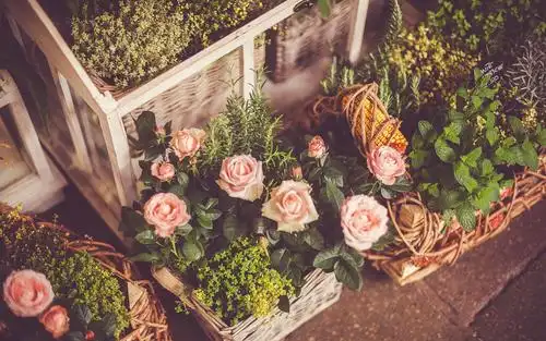 午后阳光小清新唯美高清桌面壁纸