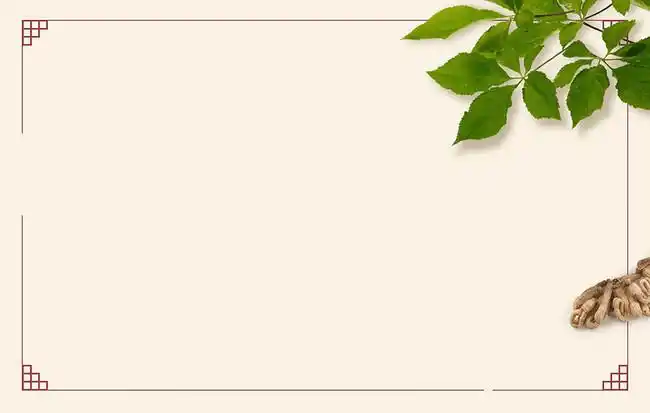 中药材展板背景