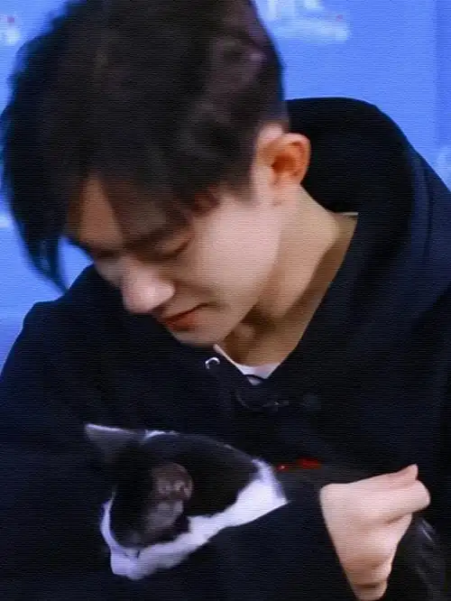 易烊千玺是最好的文案79