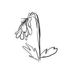 枯萎的花球简笔画