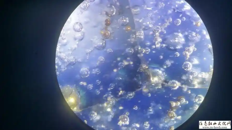 绝杀赝品——瓷器死亡气泡鉴定方法