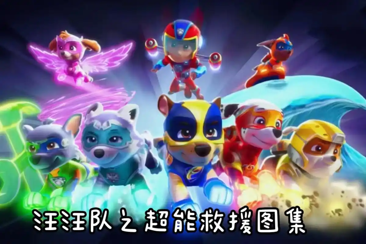 汪汪队立大功 #儿童动画 - 抖音