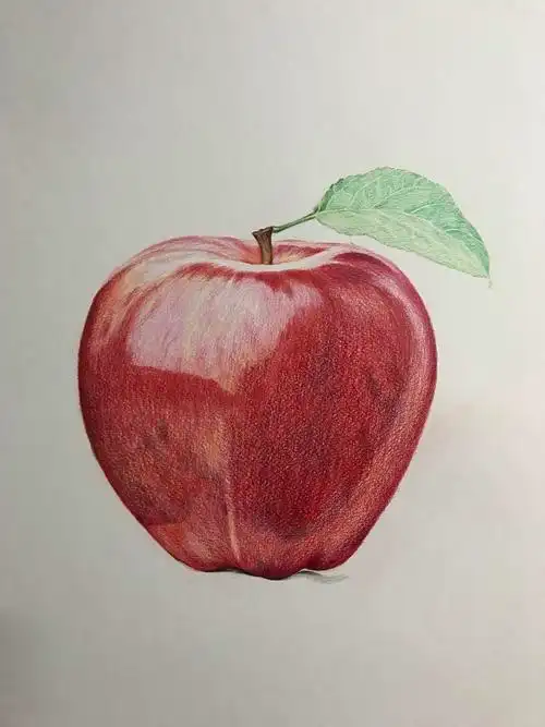 彩铅水果系列-苹果