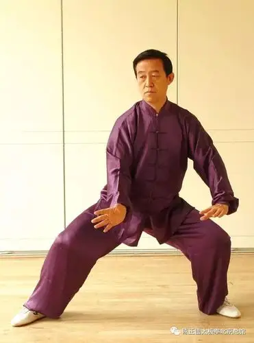 陈正雷老师演示:陈氏太极拳精要十八式——第四式六封四闭