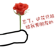 花给你送花撩汉玫瑰gif动图_动态图_表情包下载_soogif