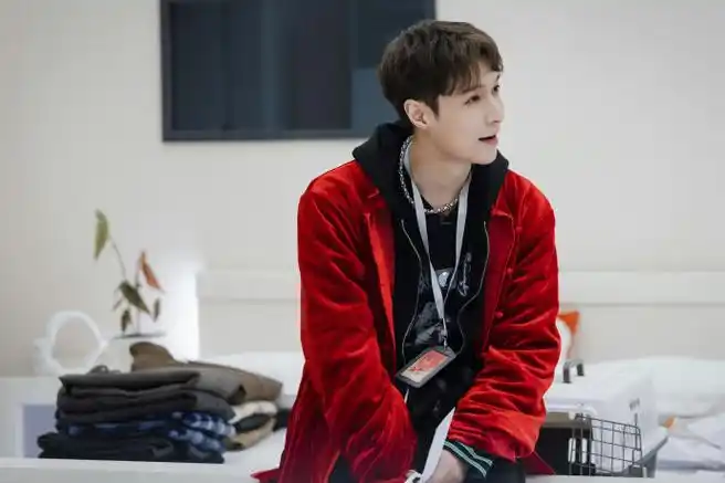 张艺兴盒子里的猫