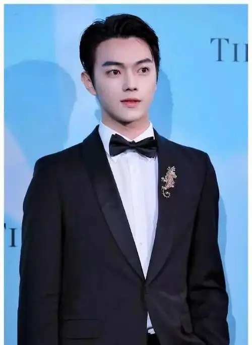 内娱男艺人颜值排名林更新18许凯15成毅第9刘学义第2谁能登顶