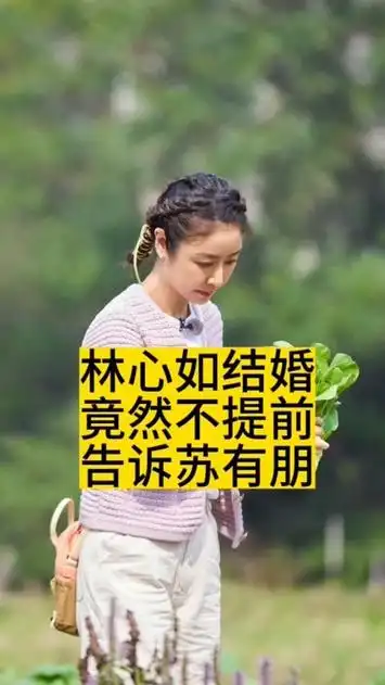 林心如结婚,竟然不提前告诉苏有朋