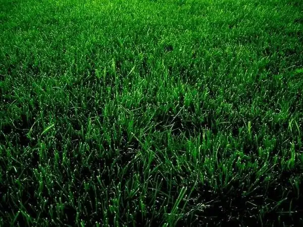 微信有个功能可以保护眼睛但是90的人都不知道