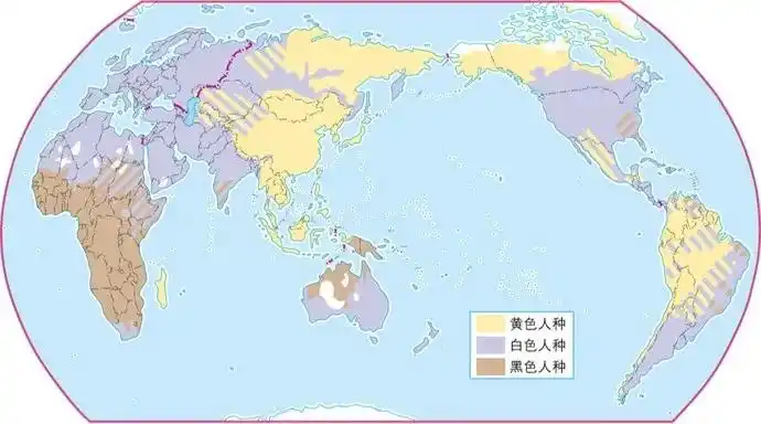 世界人种的分布