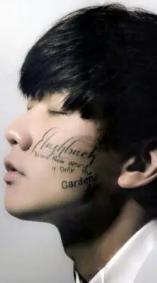 美丽的侧颜,我的jj林俊杰,stories untold因你而在