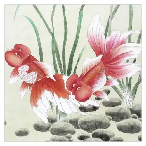 清华美院 陈宝珍《金鱼》工笔名家 精品之作