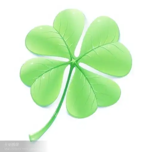 四叶草的传说