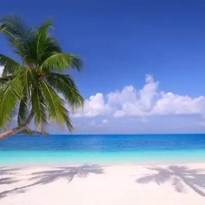 最美海景头像唯美静谧的沙滩海滩风景图片