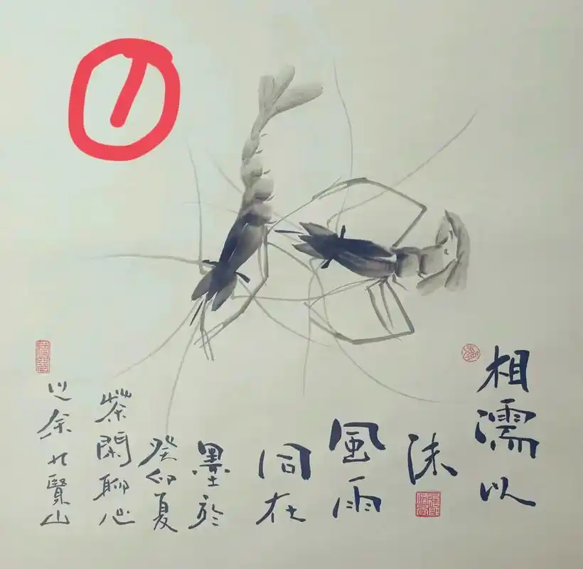 打算收藏一幅,亲们给点意见?#水墨画 #国画 #虾画法 #中 - 抖音